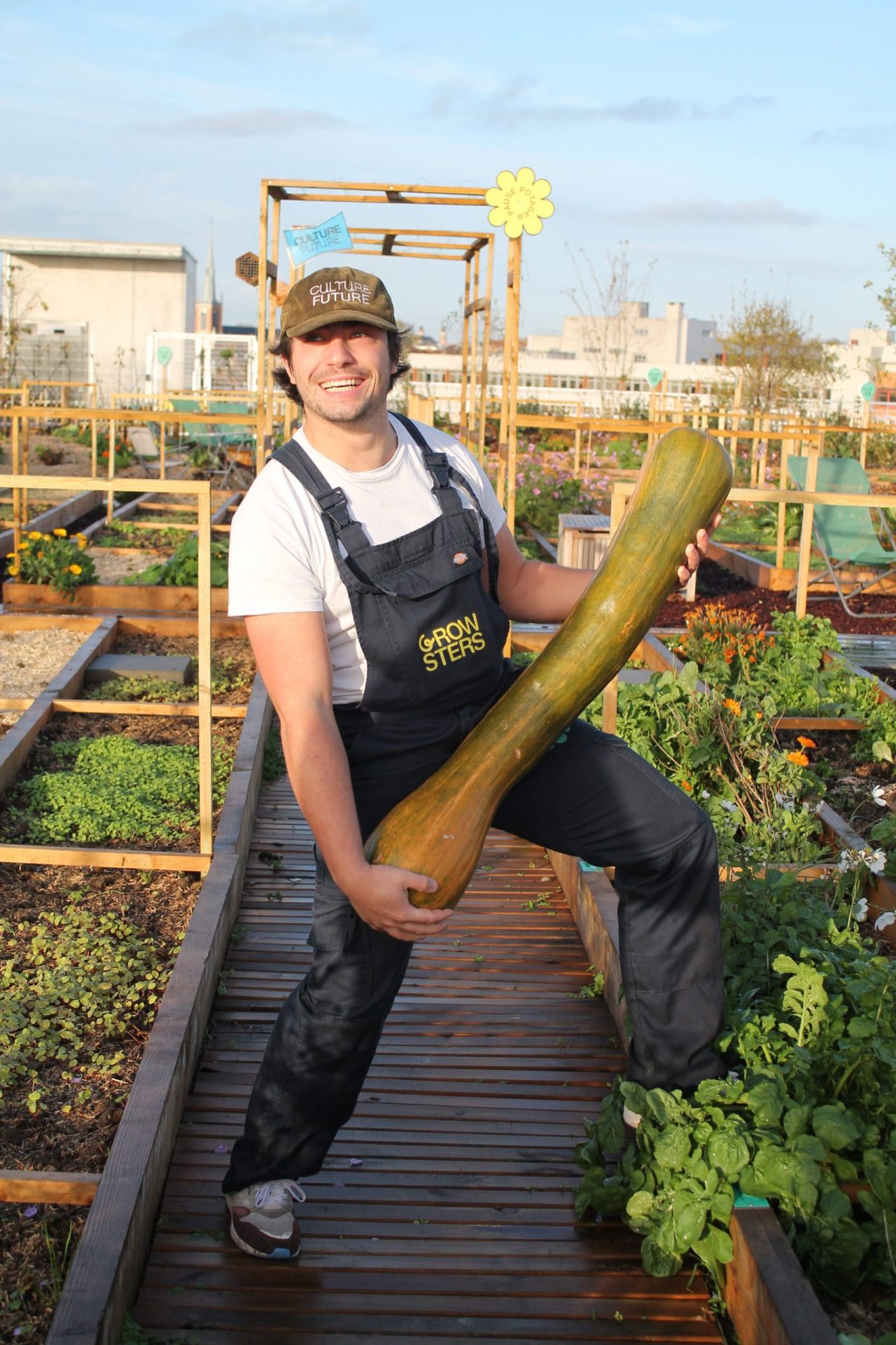 Bureau d'étude en agriculture urbaine
