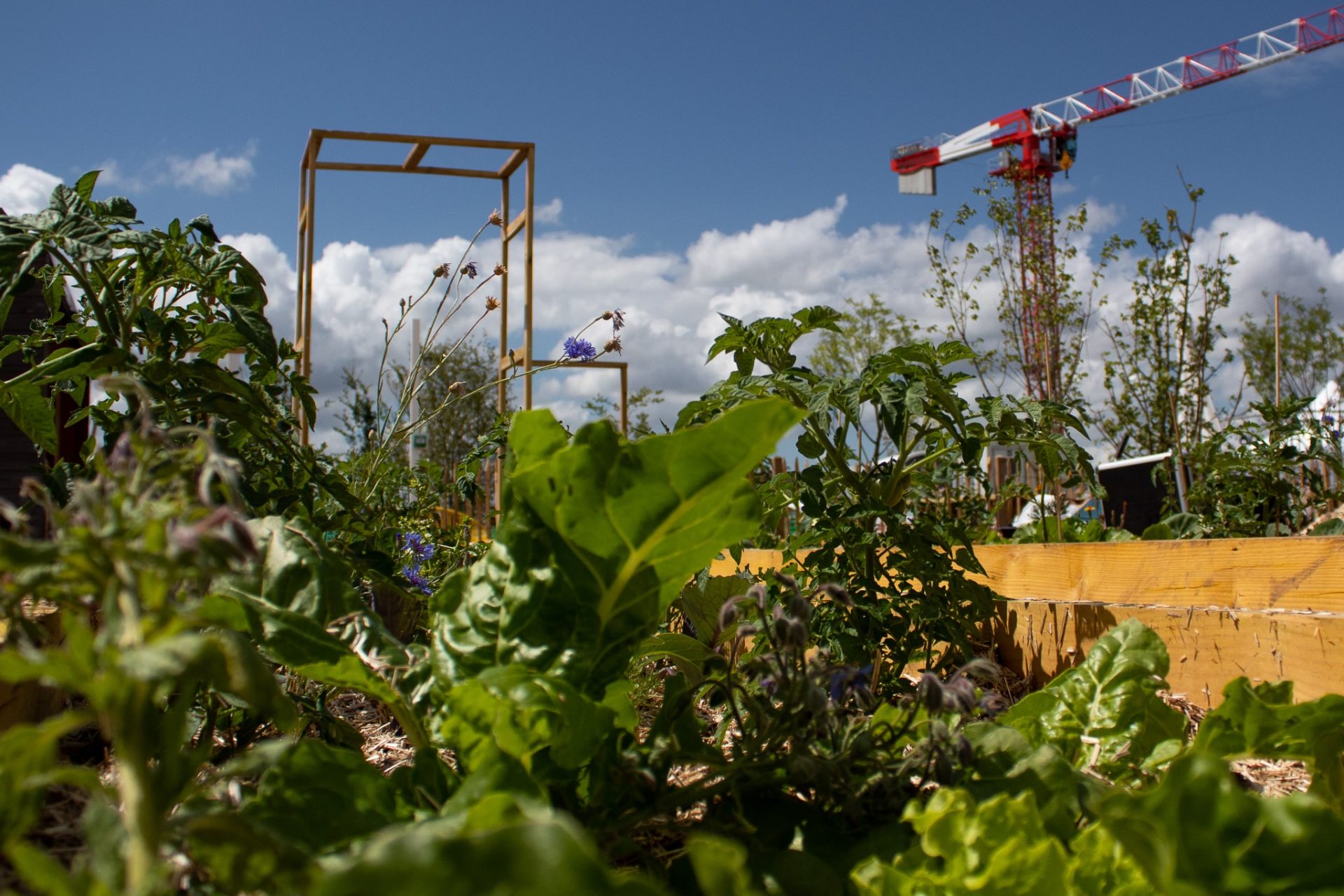 Les jardins suspendus de la Maillerie