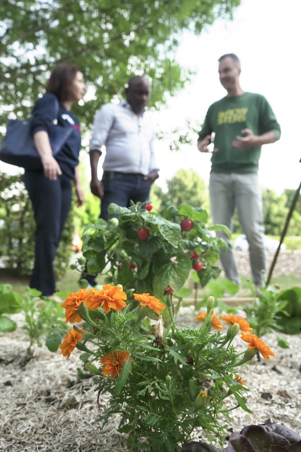 L'équipe Growsters enseigne le jardinage à des particuliers, gros plan sur une fleur.