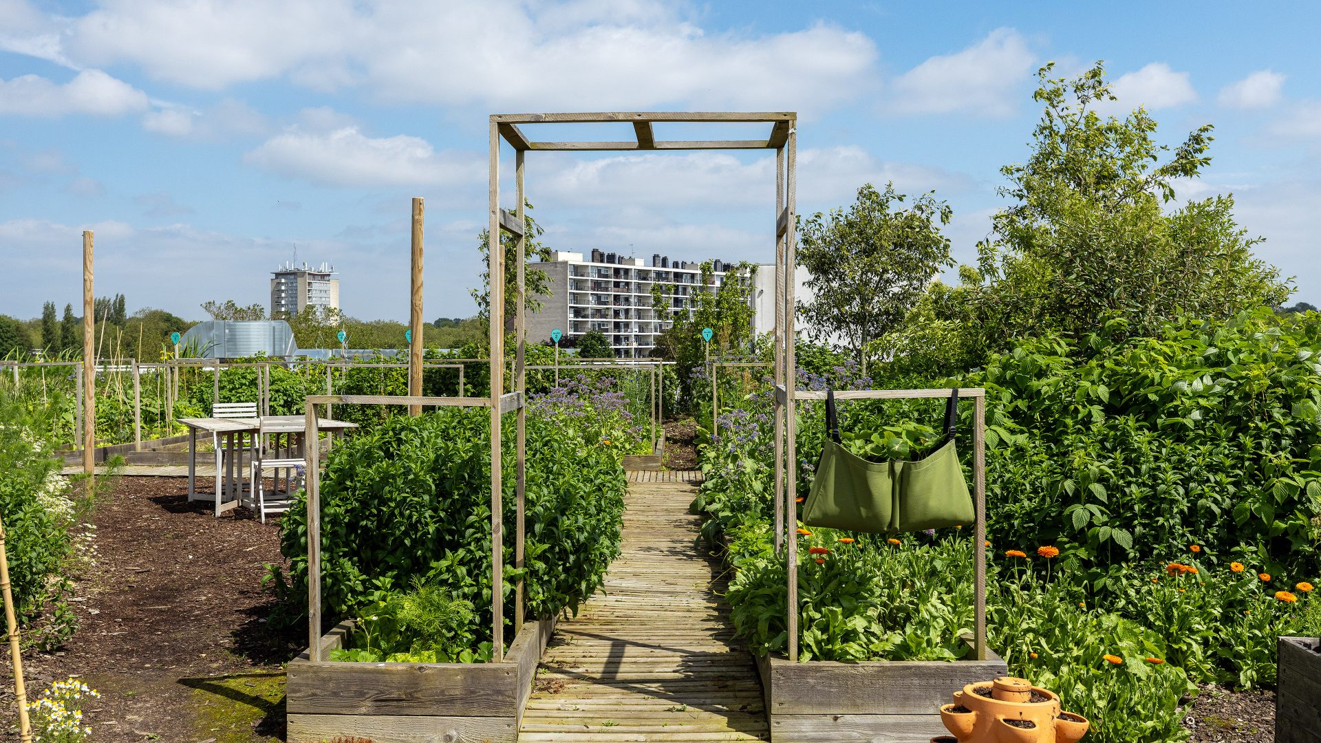 LaMaillerie NHOOD 071 0 1