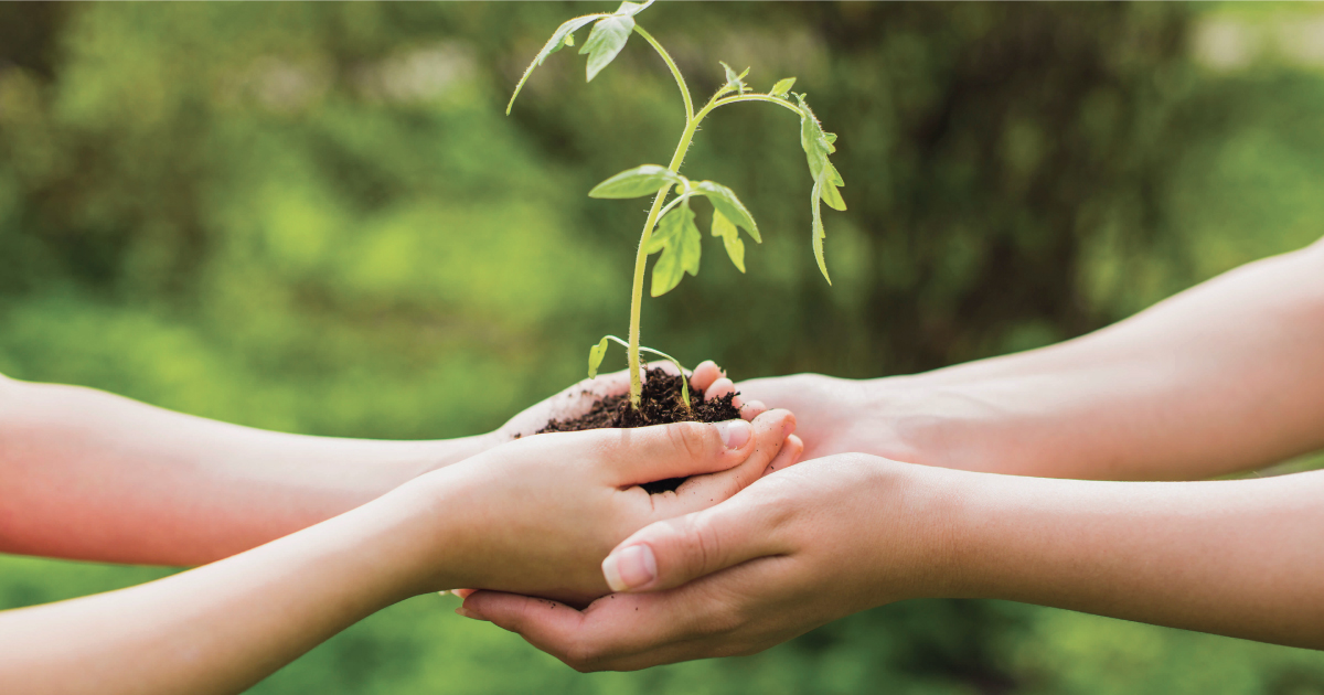 Potagers d'intérieur en entreprise