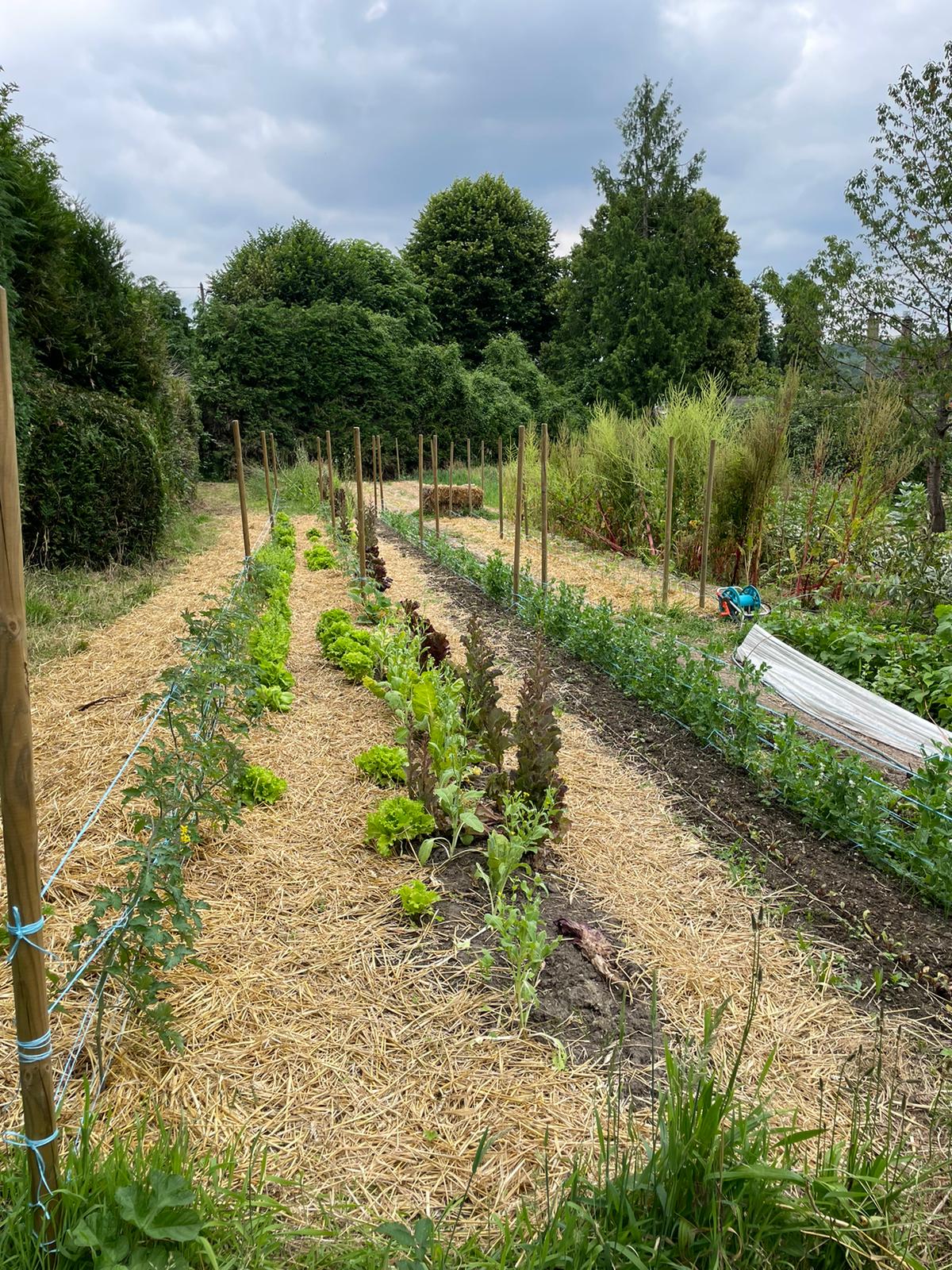 WhatsApp Image 2024 06 21 at 9.19.18 AM 1