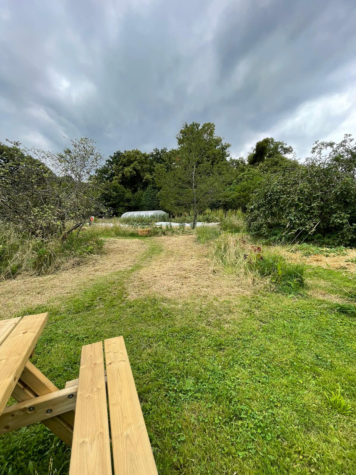 WhatsApp Image 2024 06 21 at 9.19.20 AM 1