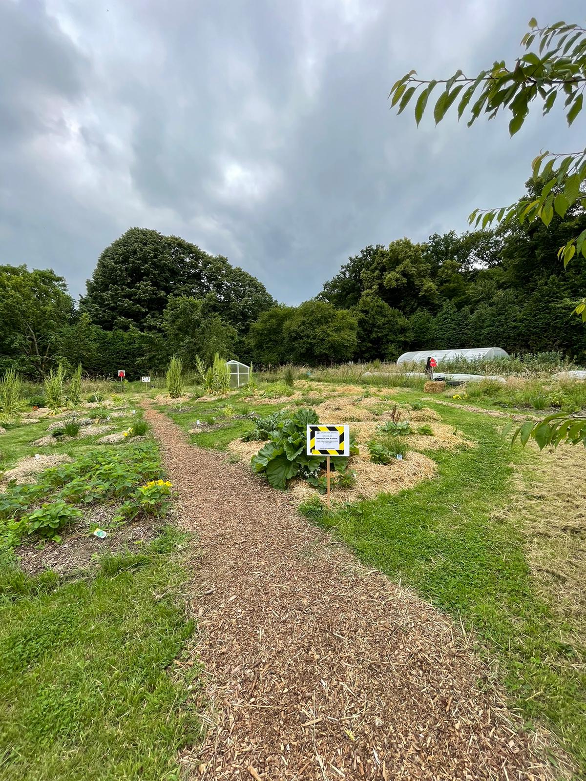 WhatsApp Image 2024 06 21 at 9.19.21 AM 1