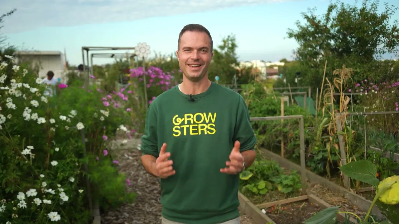 video cover image