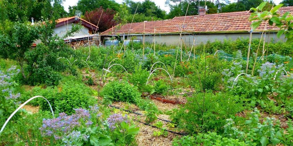 Permaculture