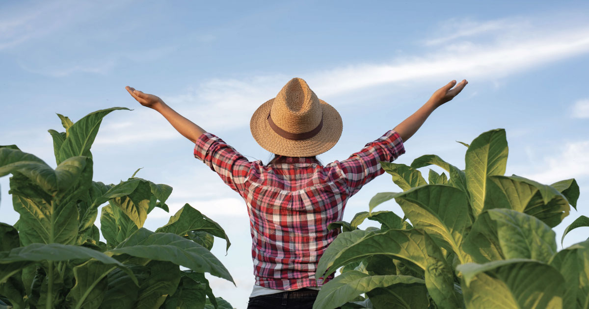 photo accueil les blobs